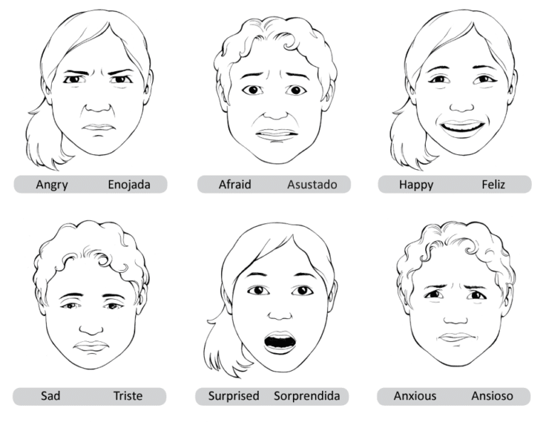 Emotions Chart