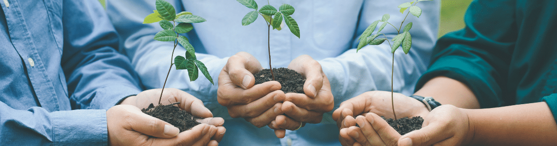 Hands together holding seedlings.