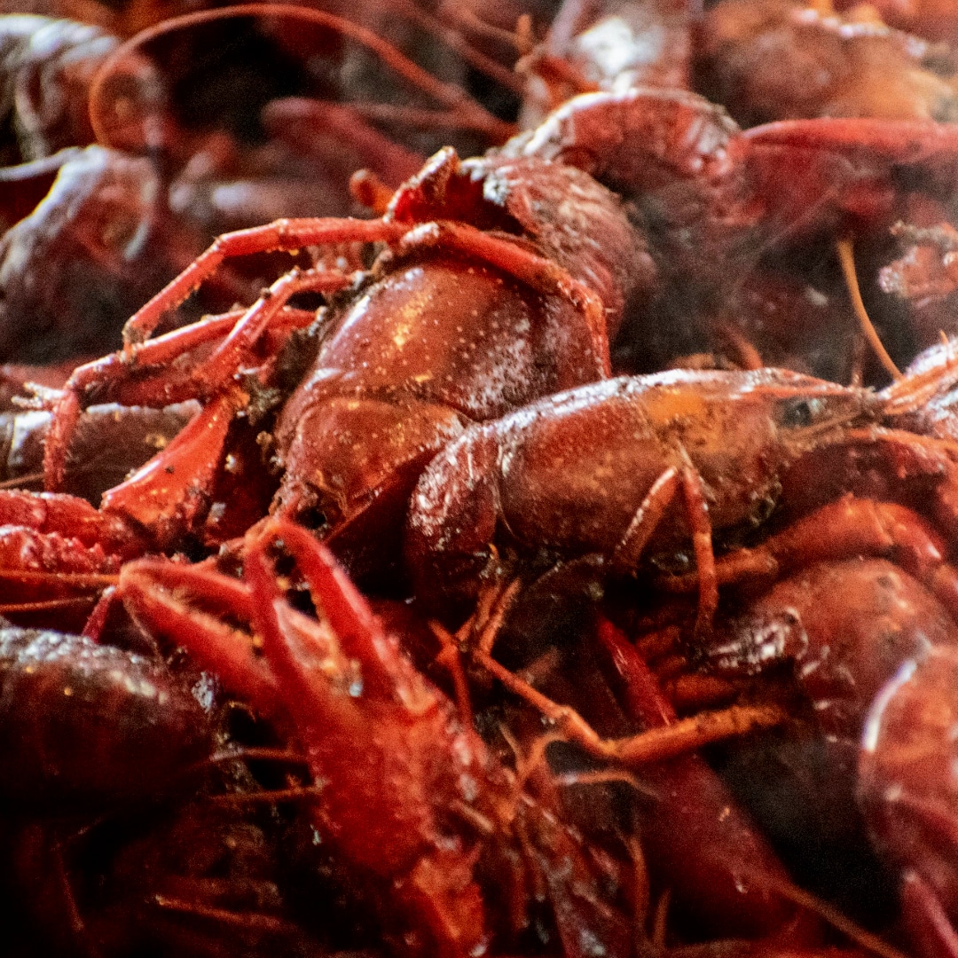 Crawfish Boil